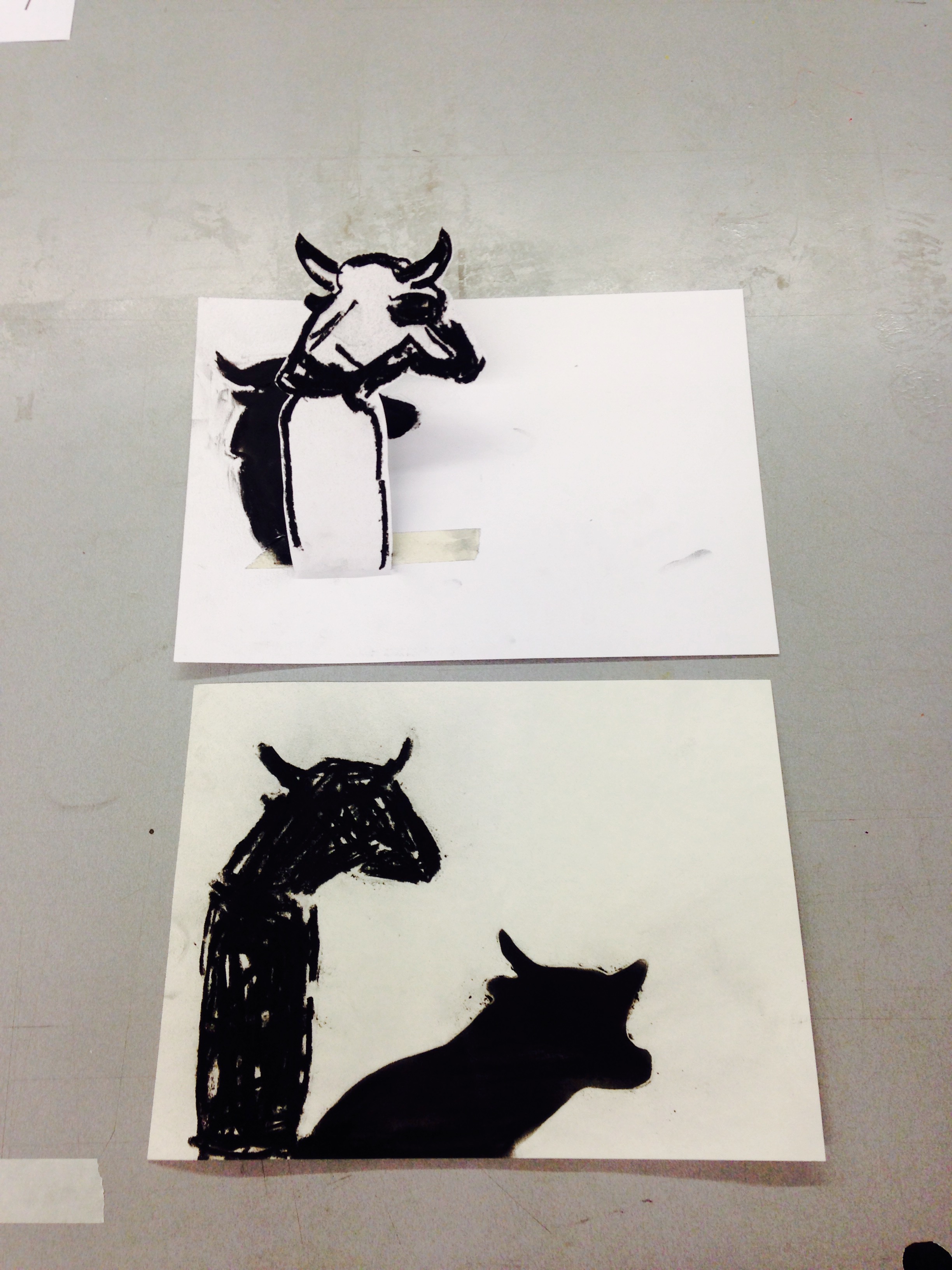 Bonito_course_isol_1