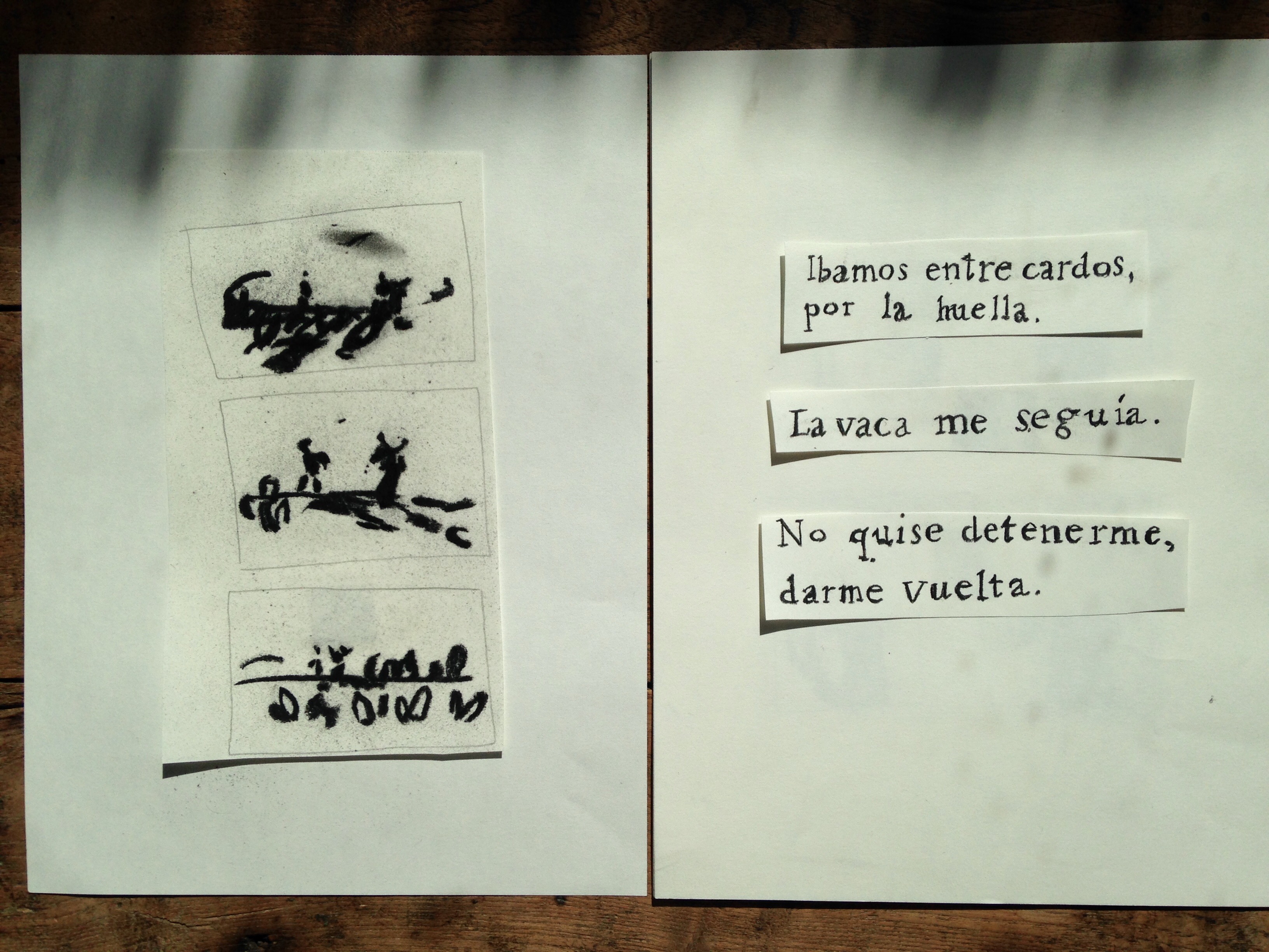 Bonito_course_isol_5